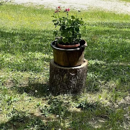 Casa Rifugio Olivieri Nyaraló *